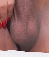 tranny banger